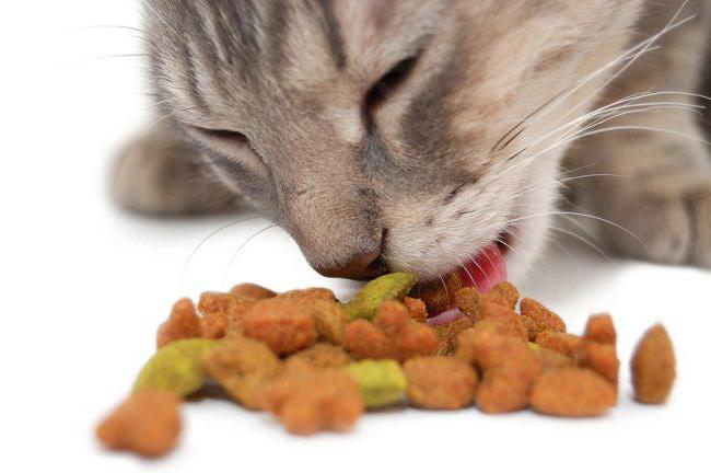 Τρόφιμα για γάτες 