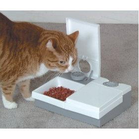 Αξιολόγηση τροφής για γάτες: επιλέξτε μια θεραπεία για κατοικίδια ζώα