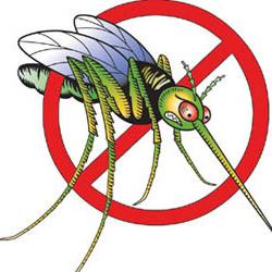 Πώς να χειριστείτε τα κουνούπια. Καλή συμβουλή