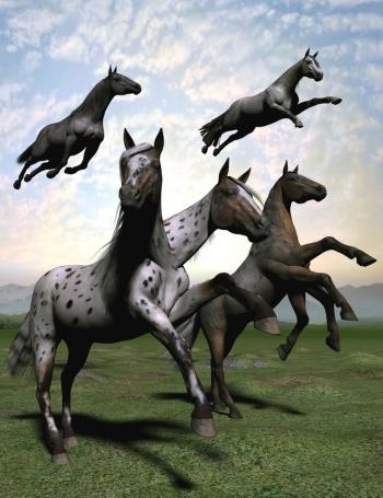 Συμβατότητα: Αρσενικό άλογο και άλογο-Γυναίκα. Είναι μια συμμαχία;