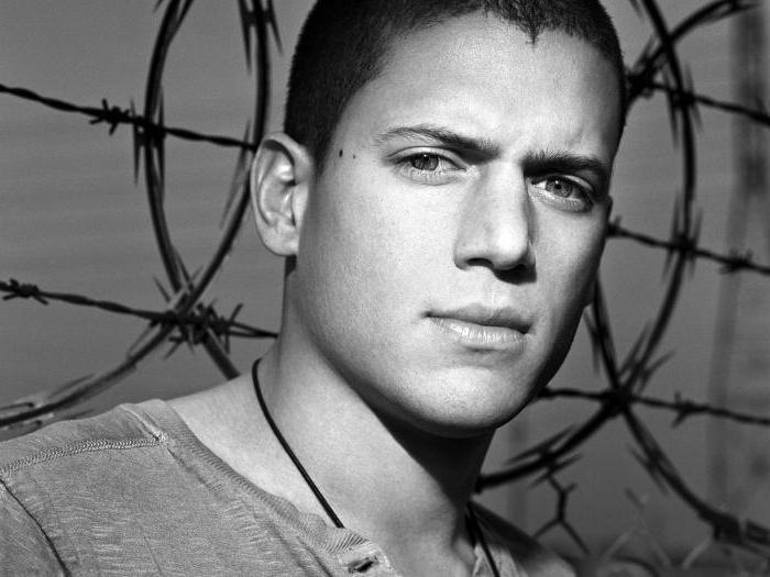 Βιογραφία του Wentworth Miller - κινηματογραφία, προσωπική ζωή και ενδιαφέροντα γεγονότα