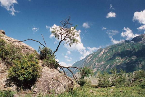 Φύση της επικράτειας Altai - εκατό ευκαιρίες για αναψυχή