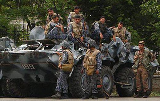 Προστασία του Ουζμπεκιστάν (στρατός): αξιολόγηση, δύναμη