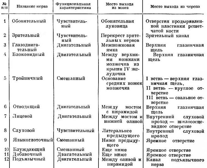 12 ζεύγη κρανιακών νεύρων: το τραπέζι. Κεραμικά νεύρα: κατανομή και σύντομα χαρακτηριστικά