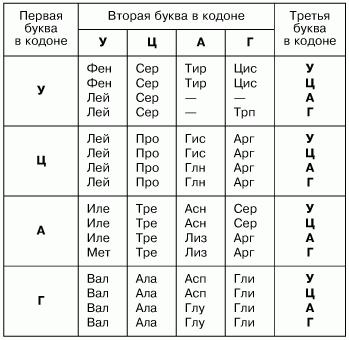 γενετικό κώδικα του RNA