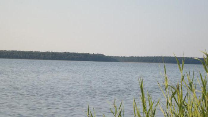 Περιοχή Kurgan: λίμνες για ξεκούραση και ψάρεμα