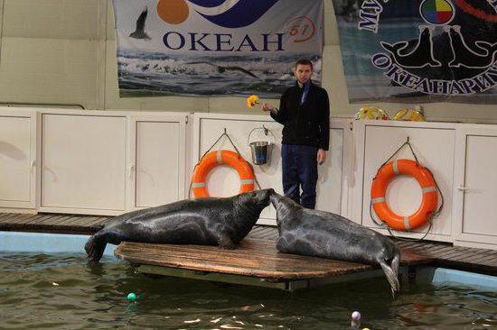 Oceanarium Murmansk