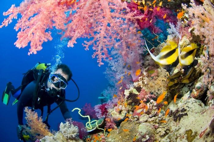 Sharm El Sheikh Αξιολόγηση ξενοδοχείου