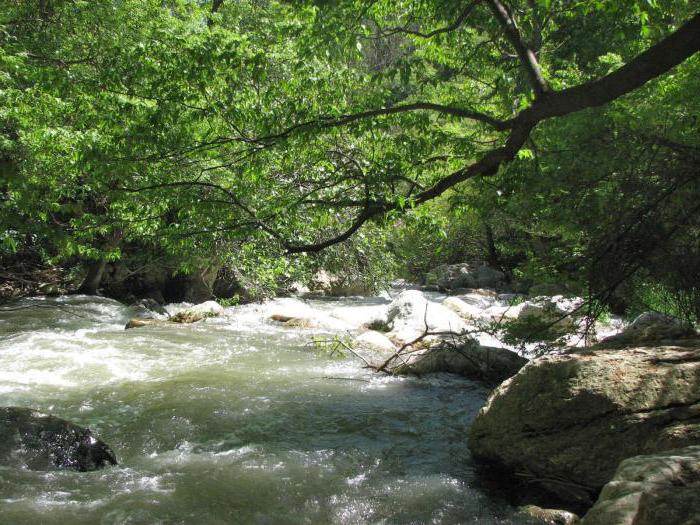 κέντρο αναψυχής παξιμάδι ελαιώνας jubga